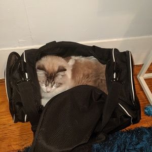 Meet your Posher, Gabe